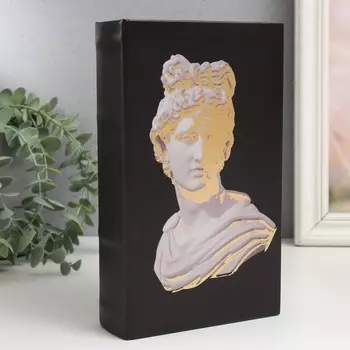 Сейф-книга Апполон (5х13х21 см)