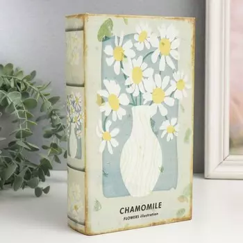 Сейф-книга Ромашки в вазе (5х13х21 см)