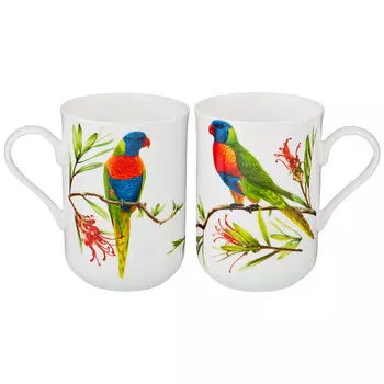 Кружка Радужный лори (350 мл)