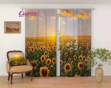 Шторы Сирень