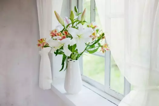 Шторы Сирень