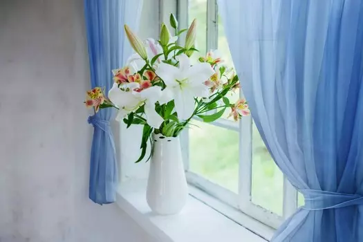 Шторы Сирень