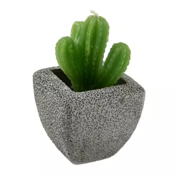 Свеча Кактус (7 см - 12 шт)