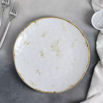 Тарелка Космос цвет: белый (28х28х3 см)