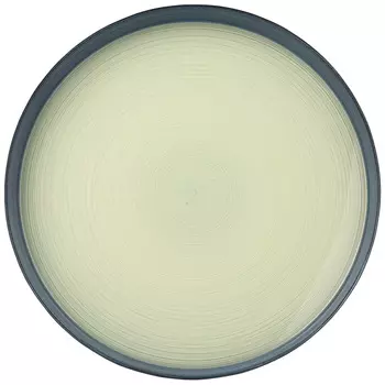 Тарелка Pro-style (21 см)