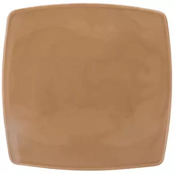 Тарелка Tint (26х26 см)