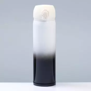 Термос Мастер К в ассортименте (500 мл)