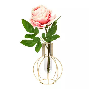 Ваза Dolena (14х14х20 см)