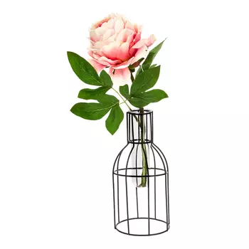 Ваза Guy (11х11х22 см)