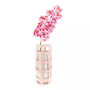 Ваза Kitti (14х14х32 см)