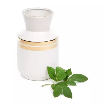 Ваза Rapillon (16х16х25 см)