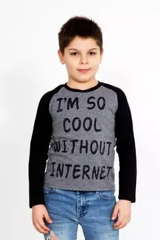 Дет. лонгслив "Руслан Серый" р. 38