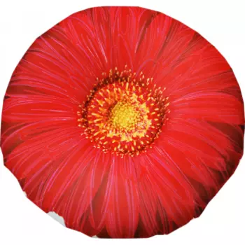 Игрушка-подушка "Цветы" р. 33х33