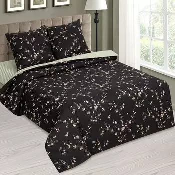 КПБ "Арабис Черный" р. Сем.