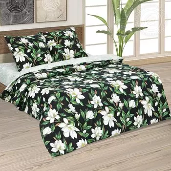 КПБ "Фелиция Черный" р. Сем.