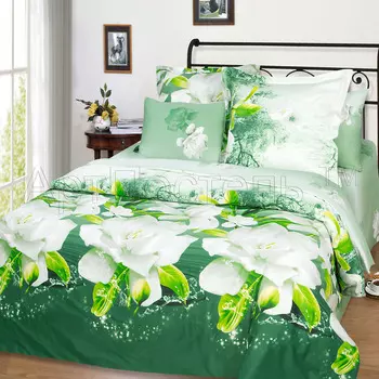 КПБ "Исида" р. Сем.