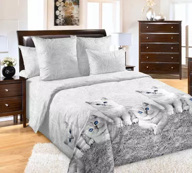 КПБ "Кесси Серый" р. 2,0-сп.