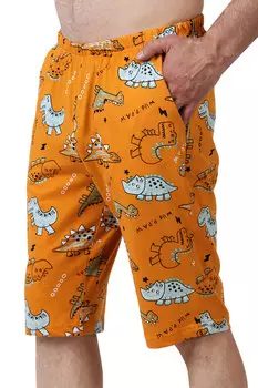 Муж. бриджи арт. 22-0490 Горчичный р. 58