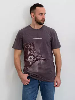 Муж. футболка "Перед восходом" Мокко р. 56