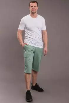 Муж. шорты арт. 19-0663 Пепельная мята р. 60