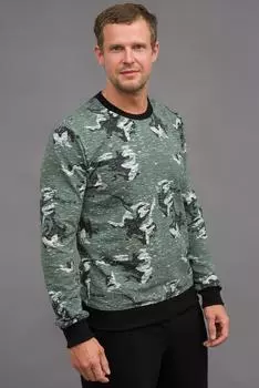 Муж. свитшот "арт. 19-0518 Зеленый" р. 48