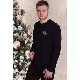 Муж. свитшот арт. 19-0546 Темно-синий р. 58