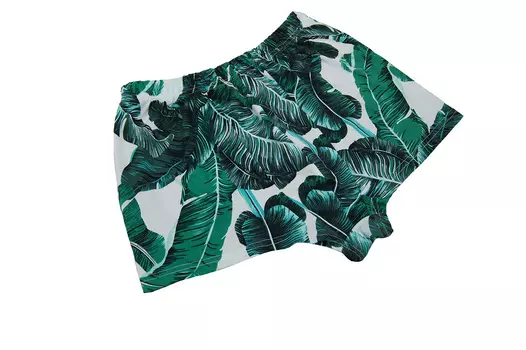 Муж. трусы "Ботаника Белый" р. 48