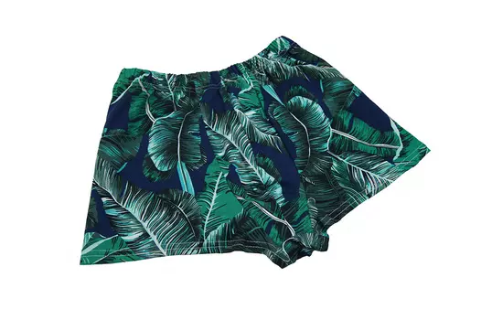 Муж. трусы "Ботаника" Синий р. 52