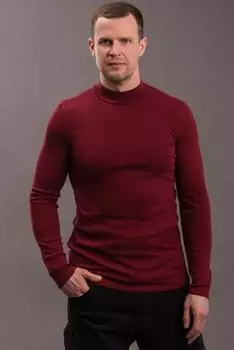 Муж. водолазка арт. 19-0622 Бордовый р. 52