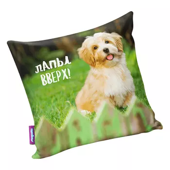 Подушка "Лапы вверх" р. 29х29