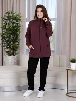 Жен. костюм спортивный арт. 17-0364 Кофейный р. 52