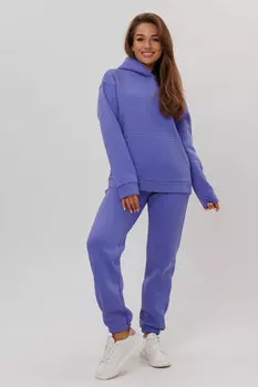 Жен. костюм спортивный арт. 23-0317 Темно-сиреневый р. 42