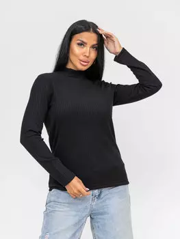 Жен. водолазка арт. 16-0942 Черный р. 48