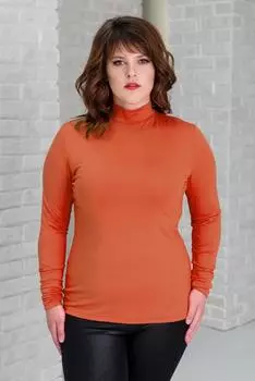 Жен. водолазка арт. 19-0012 Терракотовый р. 52