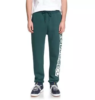 Брюки мужские DC SHOES Havelock Pant M June Bug