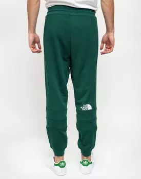 Брюки спортивные мужские THE NORTH FACE M LHT Pant Night Green