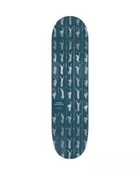 Дека для скейтборда ELEMENT Motion Gabriel Fortunato Assorted