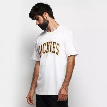 Футболка DICKIES Aitkin Tee White 2021