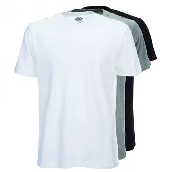 Футболка DICKIES Dickiesmc Tsht Pk Assorted 2022