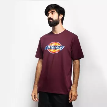 Футболка DICKIES Icon Logo Tee Maroon 2021