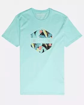 Футболка мужская BILLABONG Access Tee Ss Spearmint