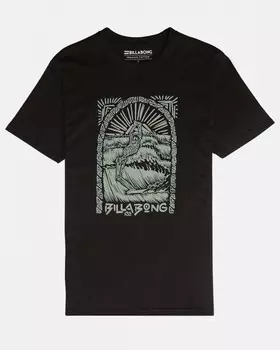Футболка мужская BILLABONG Dead Walk Tee Ss Black