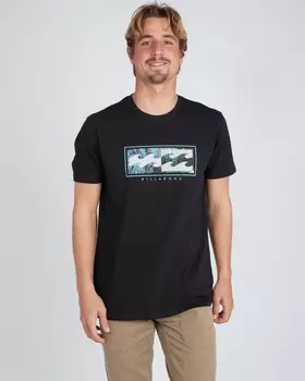 Футболка мужская BILLABONG Inversed Tee Ss Black
