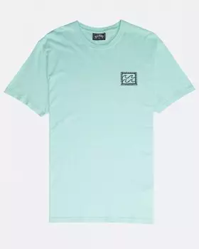 Футболка мужская BILLABONG Nairobi Tee Ss Spearmint