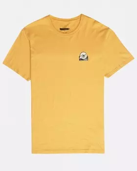 Футболка мужская BILLABONG Pigment Line Tee Ss Golden