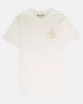 Футболка мужская BILLABONG Prismboard Te Ss Bone
