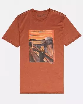 Футболка мужская BILLABONG Pumping Tee Ss Hazel