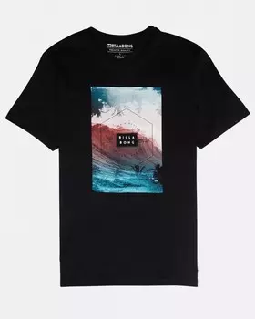 Футболка мужская BILLABONG Section Tee Ss Black