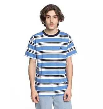 Футболка мужская DC SHOES Buchanan Ss M Campunula