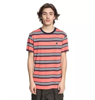 Футболка мужская DC SHOES Buchanan Ss M Porcelain Rose